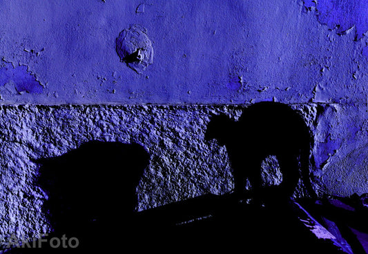 「怒り」 -石の壁シリーズ-