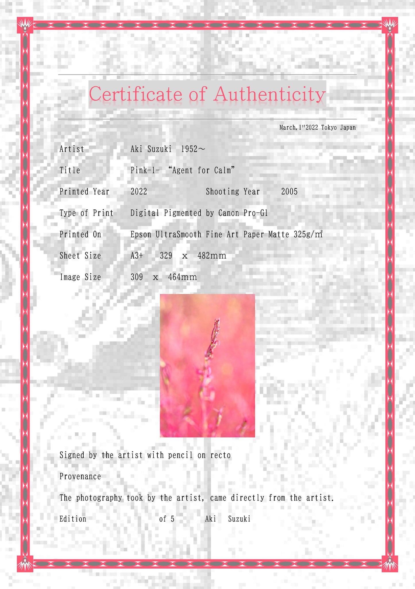 「ピンク　－１－」寛ぎの使者