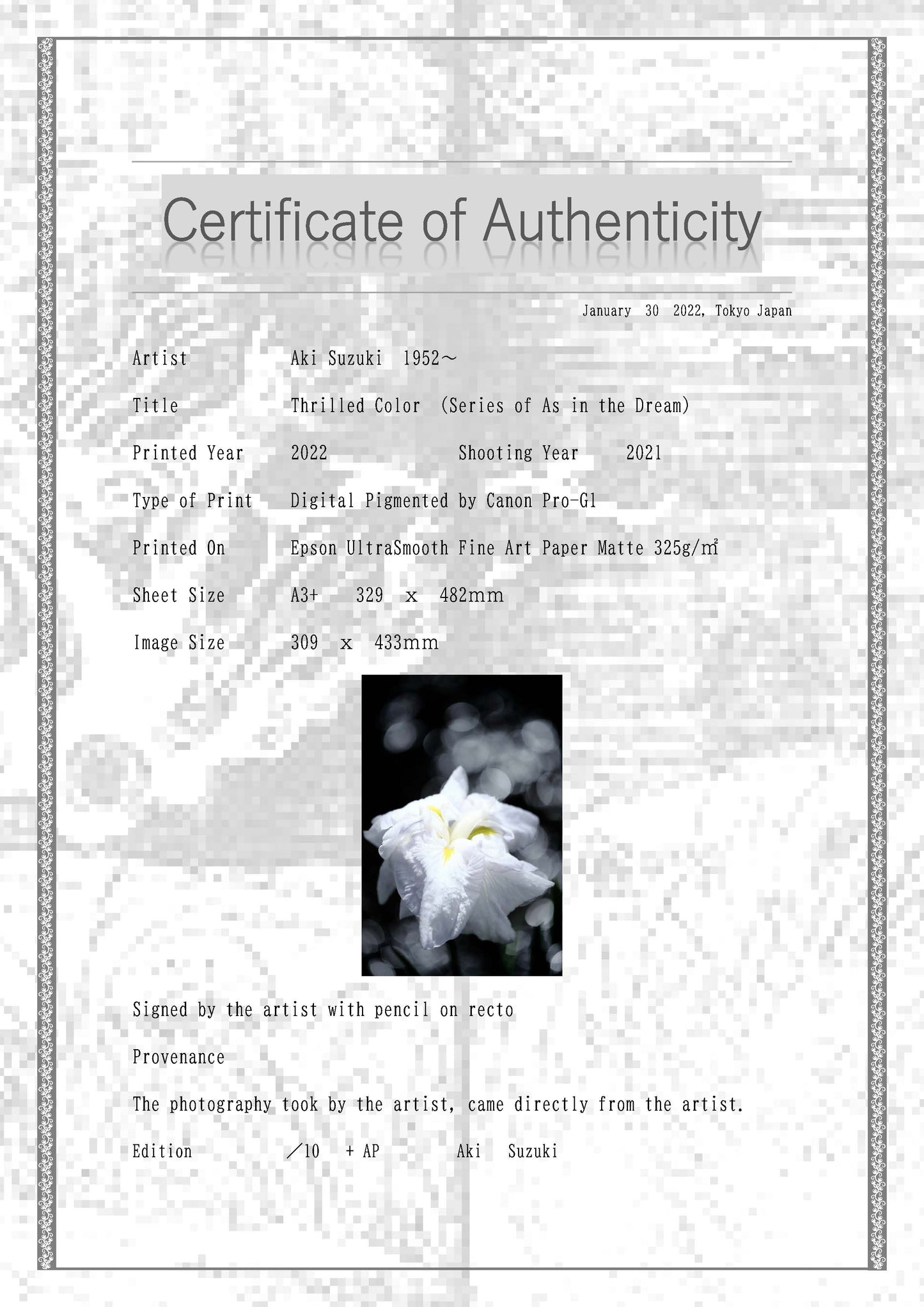 「静かな色」-夢心地シリーズ