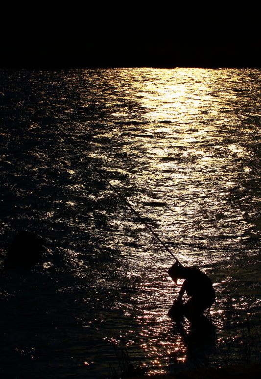 「熱中症対策」(網代傘)ー一心不乱ー